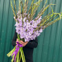 25 сиреневых гладиолусов