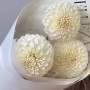 3 белые георгины фото 4